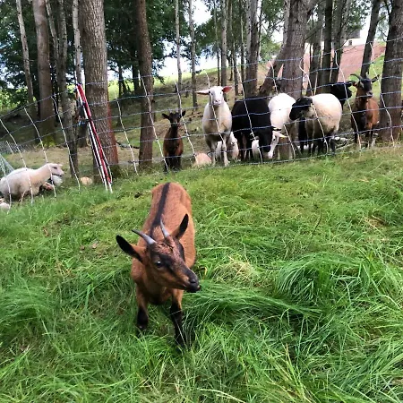 Auszeit Mit Weitblick In Der Saechsischen Schweiz - Kleiner Bauernhof Mit Tieren Und Wallbox *
