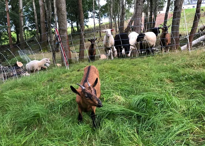 Auszeit Mit Weitblick In Der Saechsischen Schweiz - Kleiner Bauernhof Mit Tieren Und Wallbox *